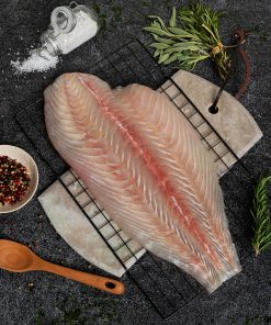 California Halibut