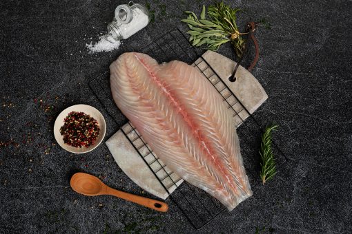 California Halibut