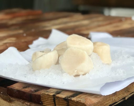 XX Jumbo Dry Scallops - Image 3