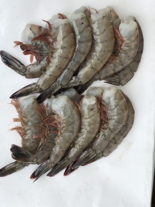 Wild White Shrimp - Image 2