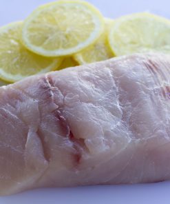 White Sea Bass