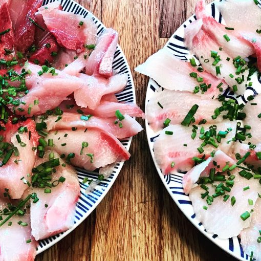 Japanese Hamachi/ yellowtail